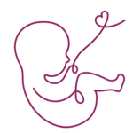 20 22 semaines eco 2 trimestre